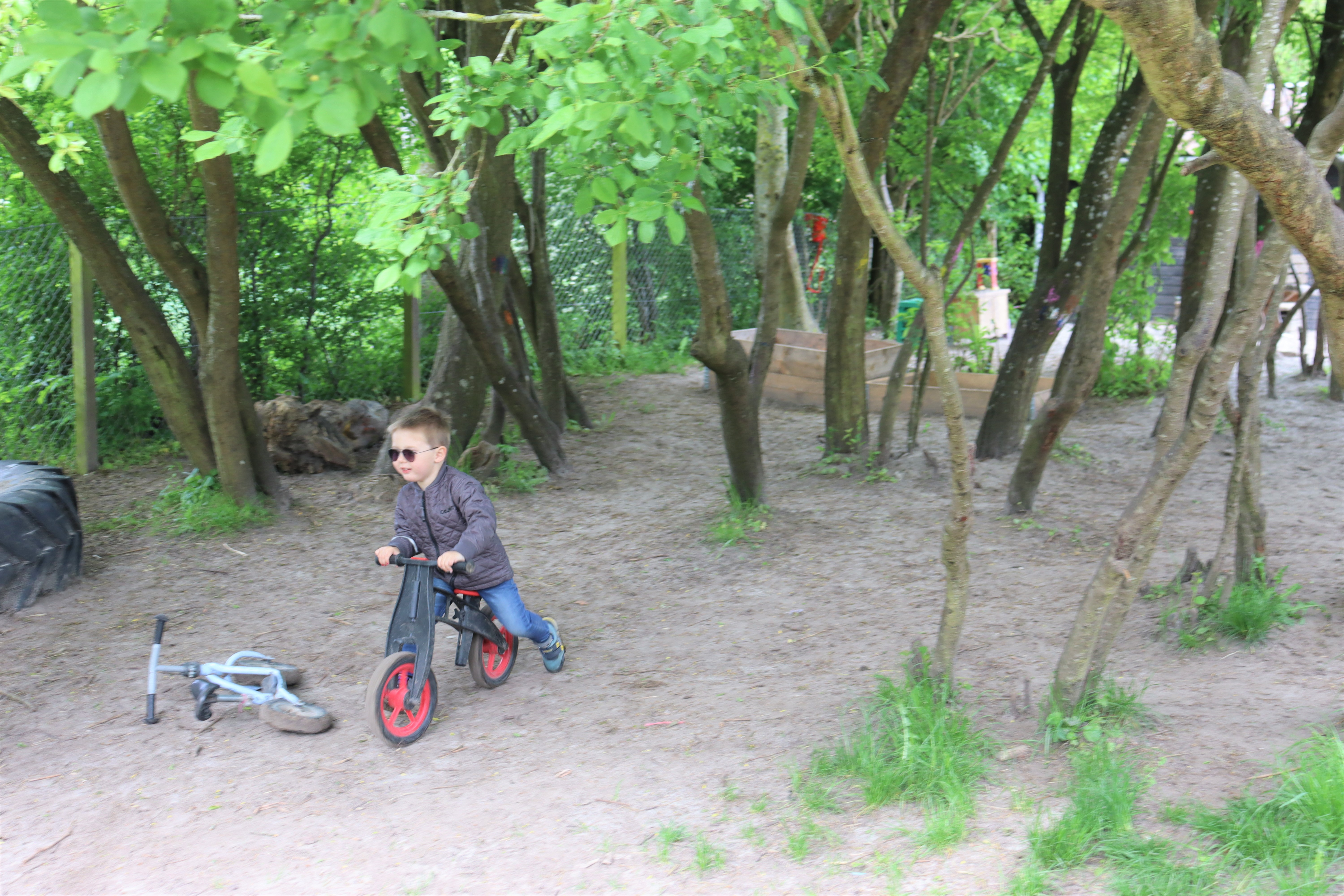 Dreng cykler på sti mellem træer i grønt område