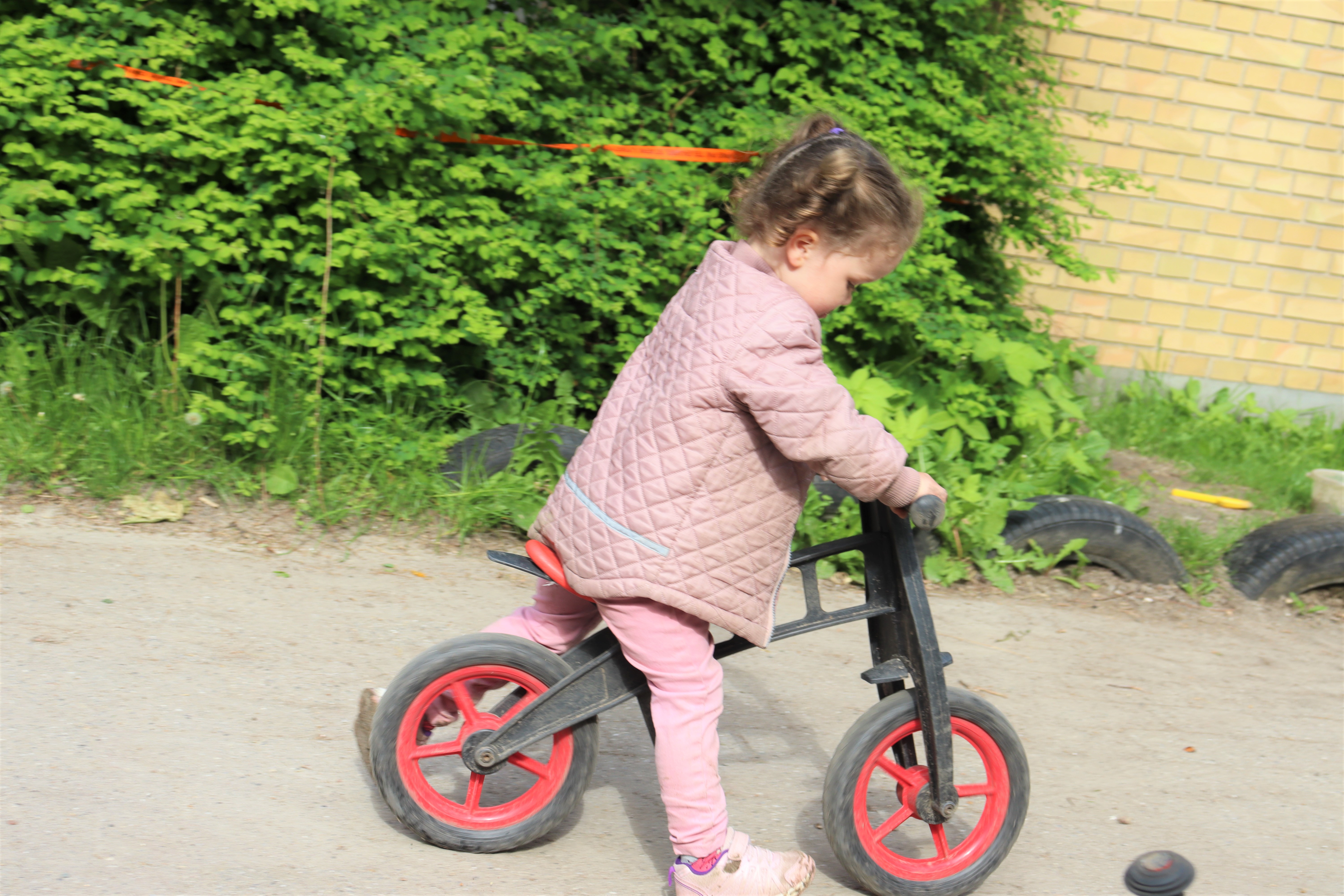 Pige cykler på løbecykel